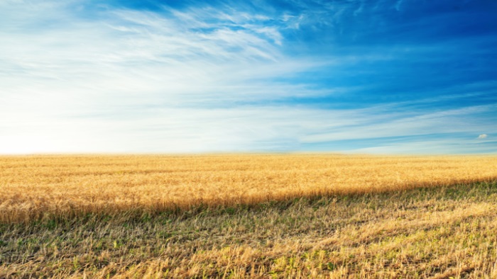 主营业务 农业装备